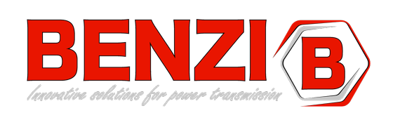 Benzi & di Terlizzi (REDUCO gearboxes / Evolution / Energy)